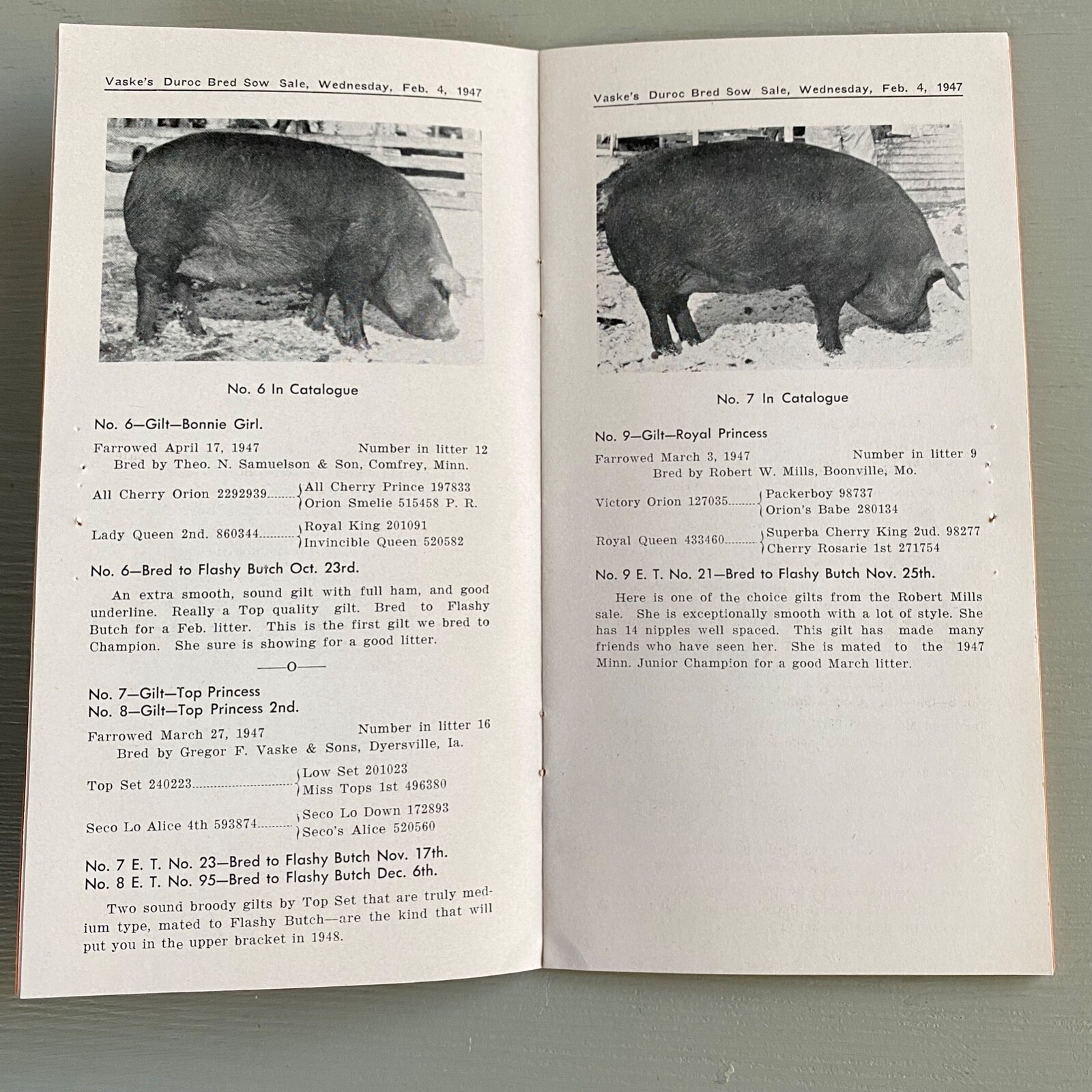 Vintage Duroc Bred Sow Hogs Pigs Sale Catalog Book Dyersville Iowa 1948 Farm Ag