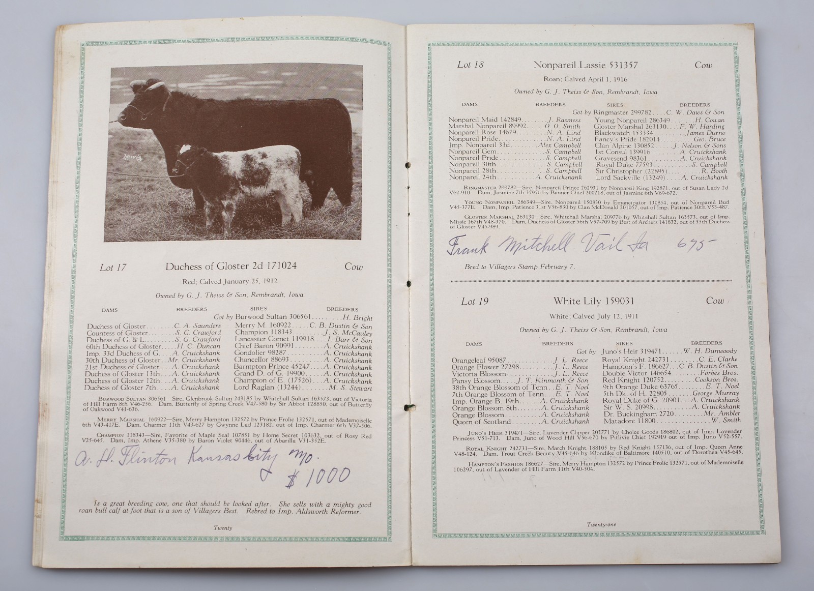 Vintage 1918 Paramount Shorthorns Livestock Sale Catalog Rembrandt Iowa