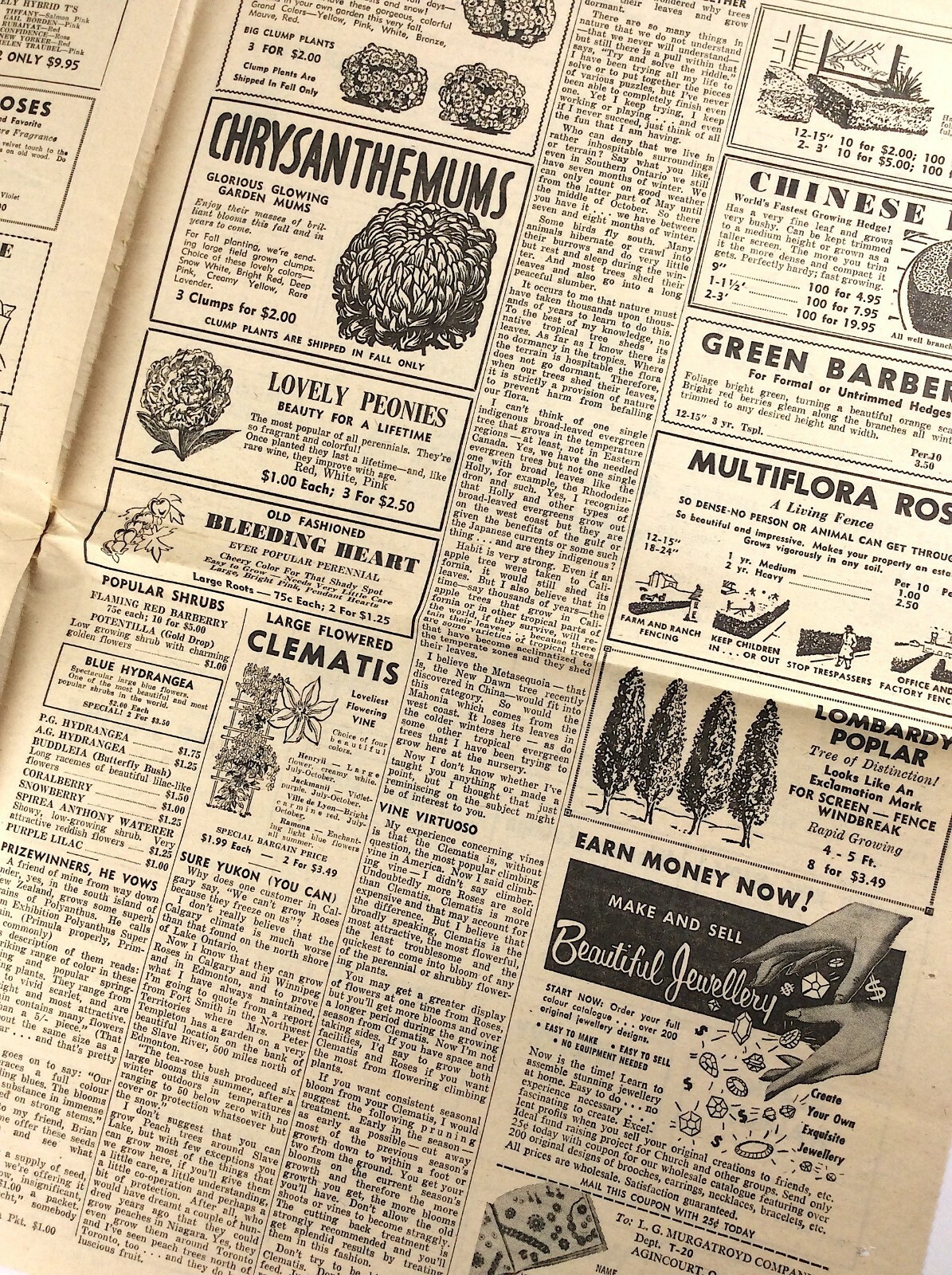 Fall 1964 Growing Flowers Seed Plant Catalog Flyer St Catherines Ontario Q272