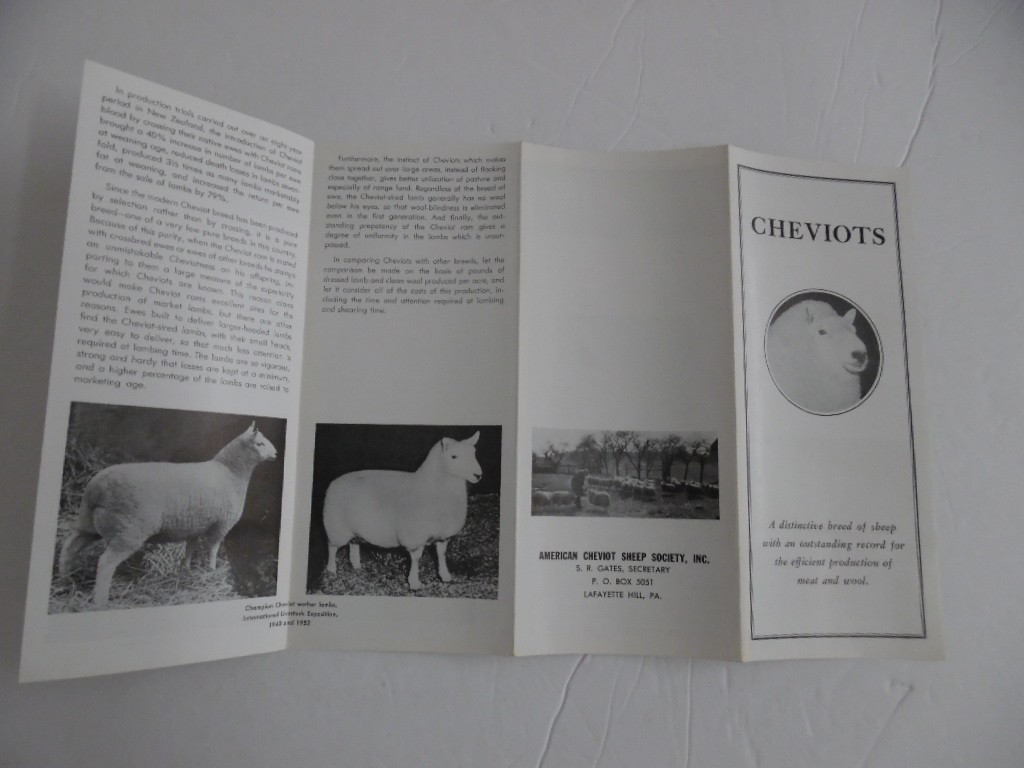 c.1952 American Cheviot Sheep Society Breed Brochure Livestock Vintage MINT RARE