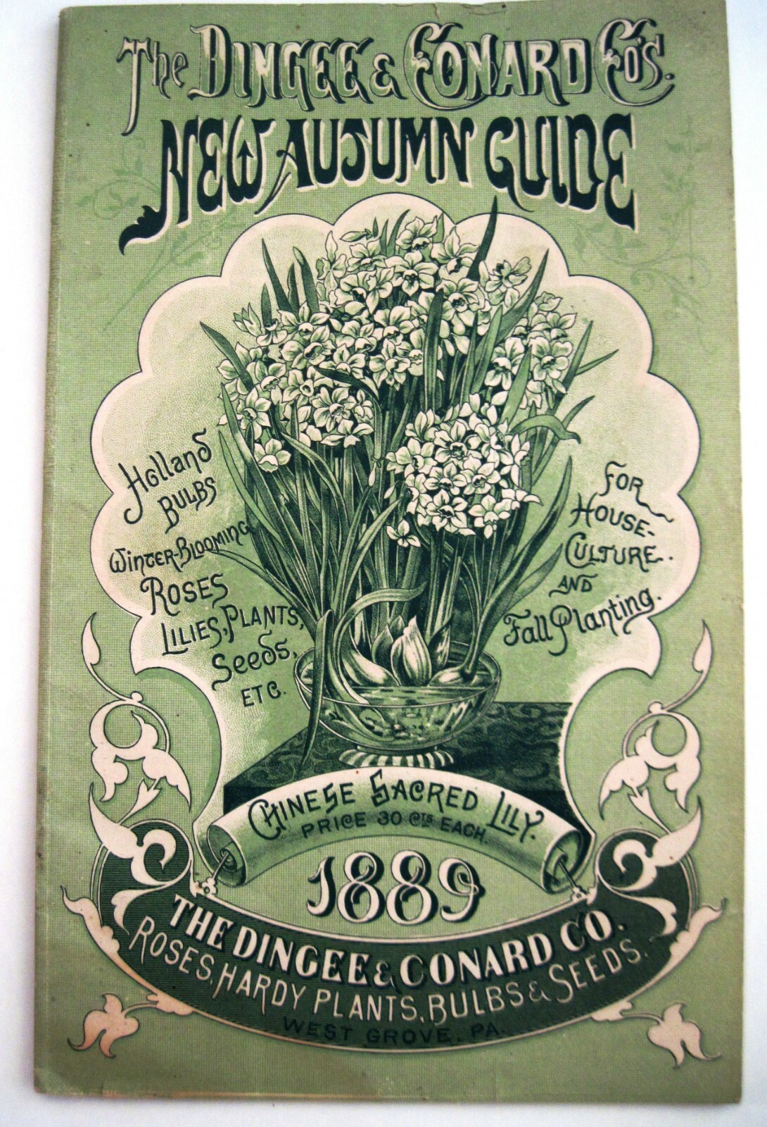 1889 Catalog “New Autumn Guide” for Holland Bulbs, Roses & Lilies & Seeds *