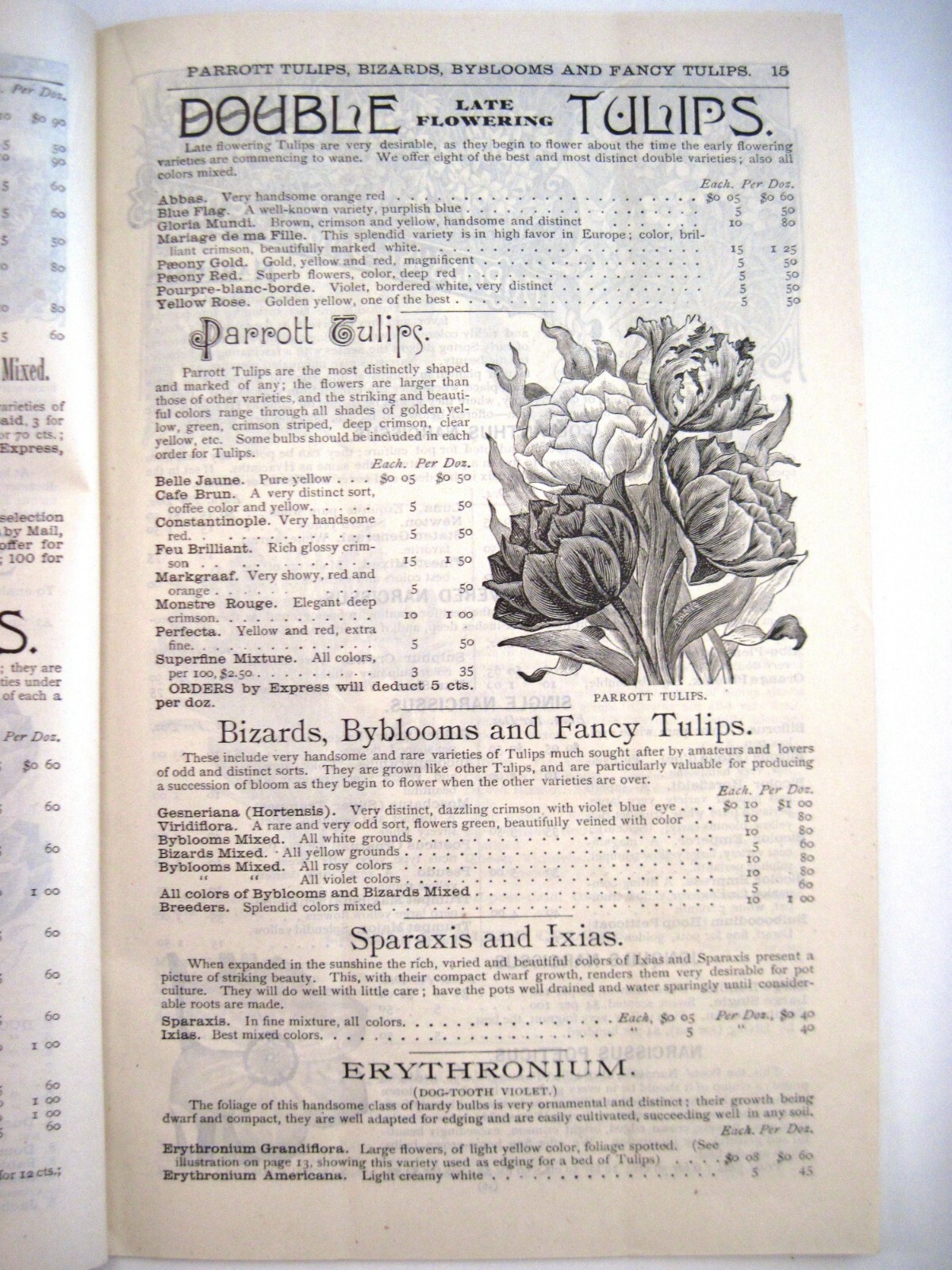 1889 Catalog “New Autumn Guide” for Holland Bulbs, Roses & Lilies & Seeds *
