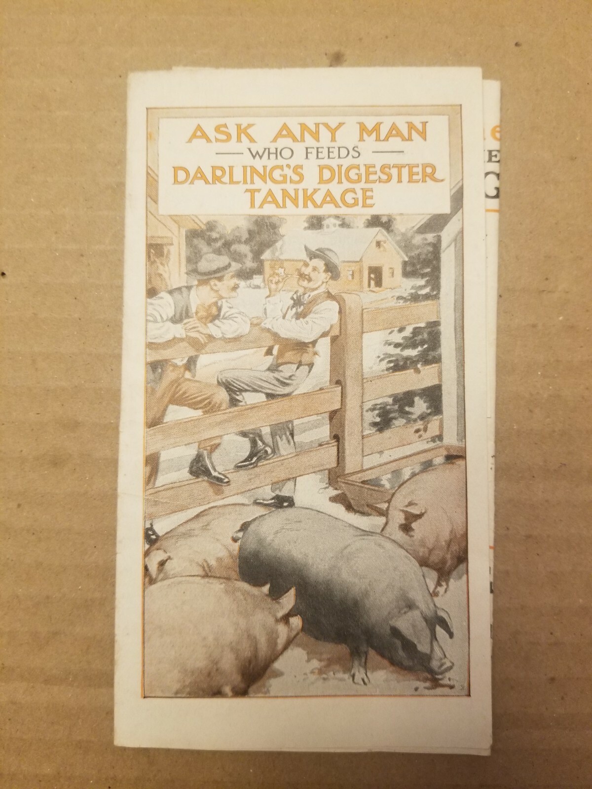 VINTAGE AGRICULTURE BROCHURE. DARLING’S DIGESTER TANKAGE.
