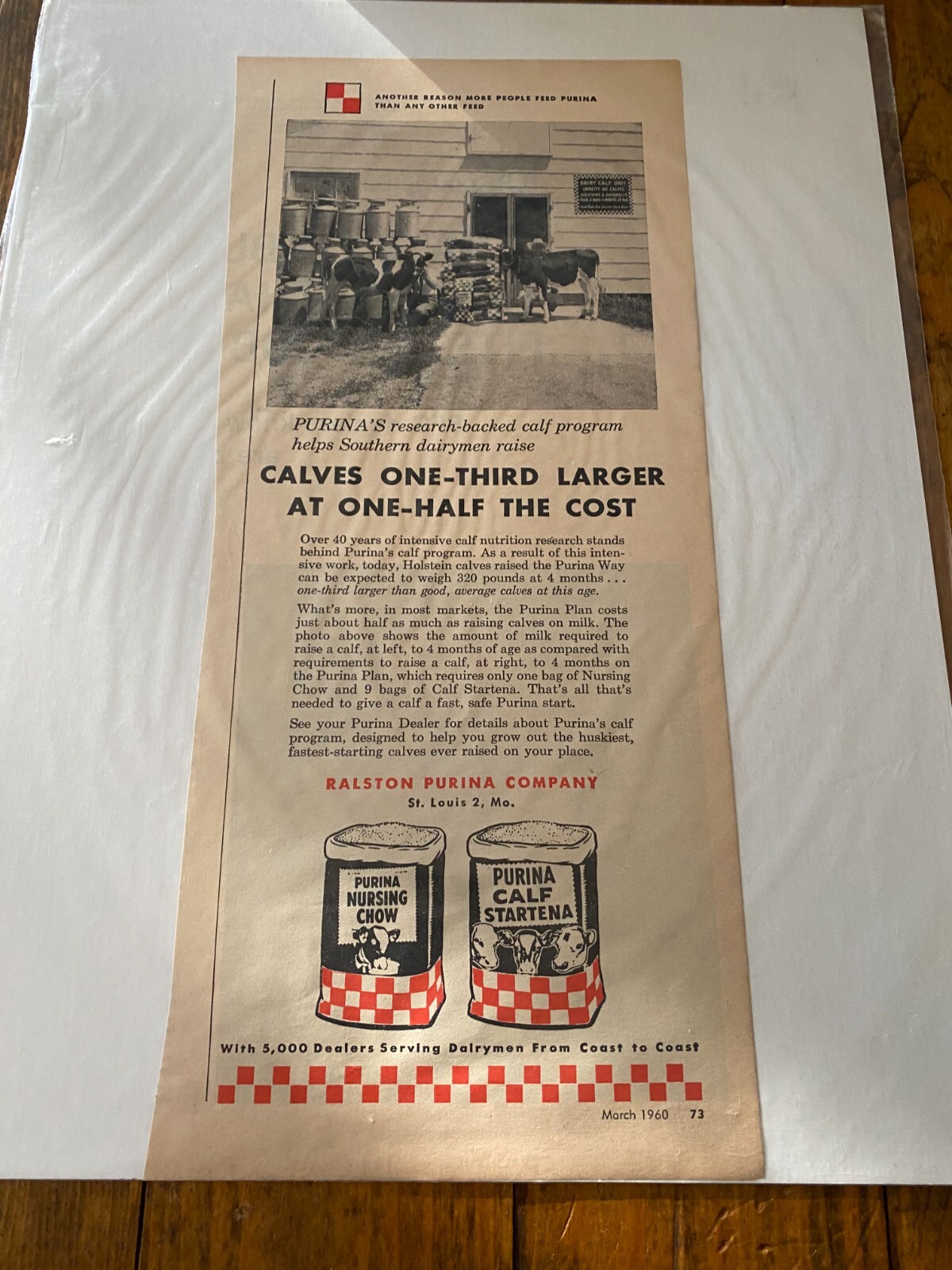 Vintage 1960 Purina Calf Products Calves One-Third Larger ad