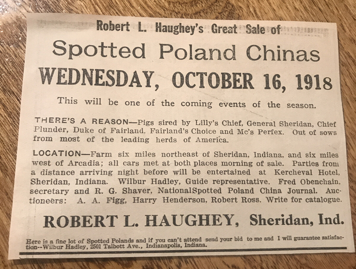 ORIGINAL 1918 Hog Public Sale – Sheridan – Indiana – Farm Advertising Pig Sow