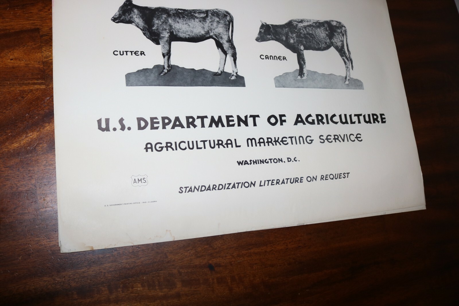 RARE new old stock orig 1940 Large USDA Heifer slaughter grade poster chart sign