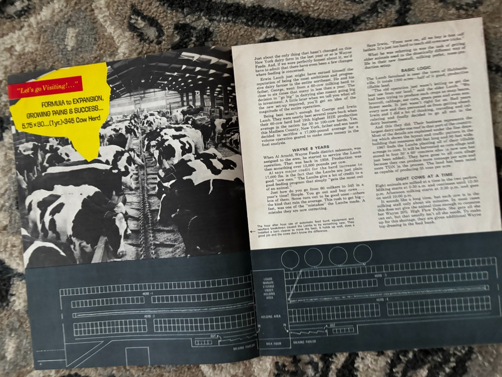 Wayne Feeds Idea Magazine for Summer 1967 Brochure DCPA26