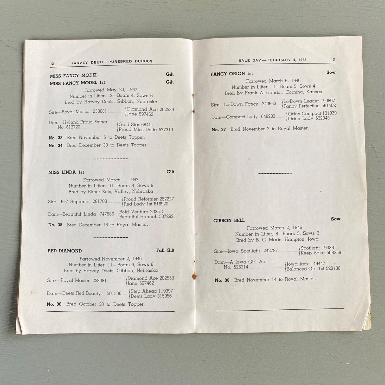 Vintage Purebred Durocs Hogs Pigs Sale Catalog Book Kearney Nebraska 1948
