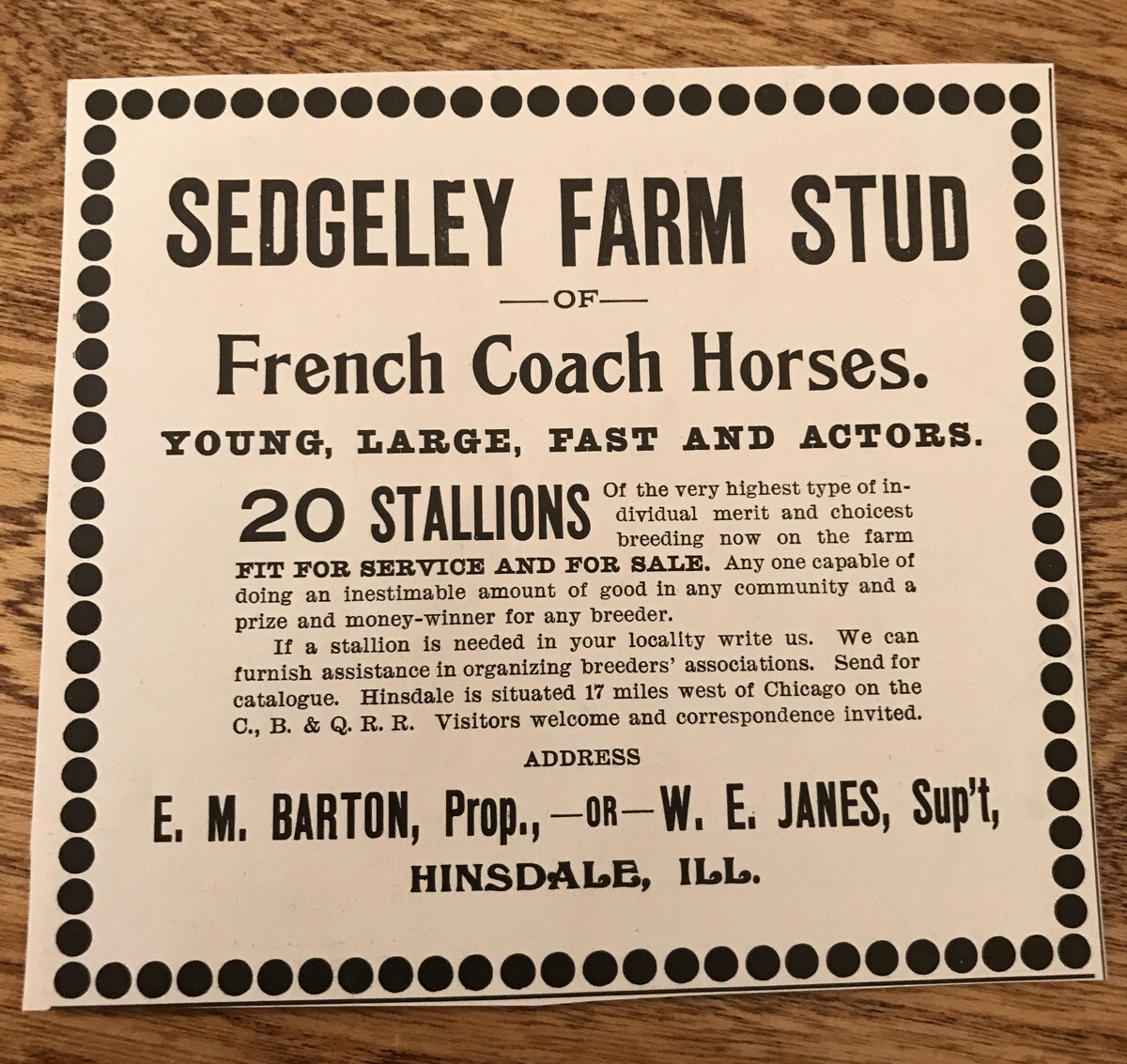 1903 Sedgeley Farm Stud Horse Advertising – Hinsdale – Illinois