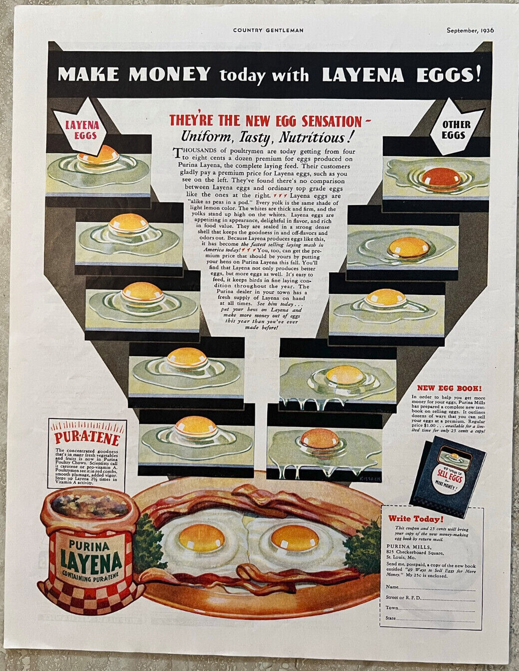 1936 Purina Layena Eggs Containing Pur-A-Tene Poultrymen Farm Vtg Print Ad