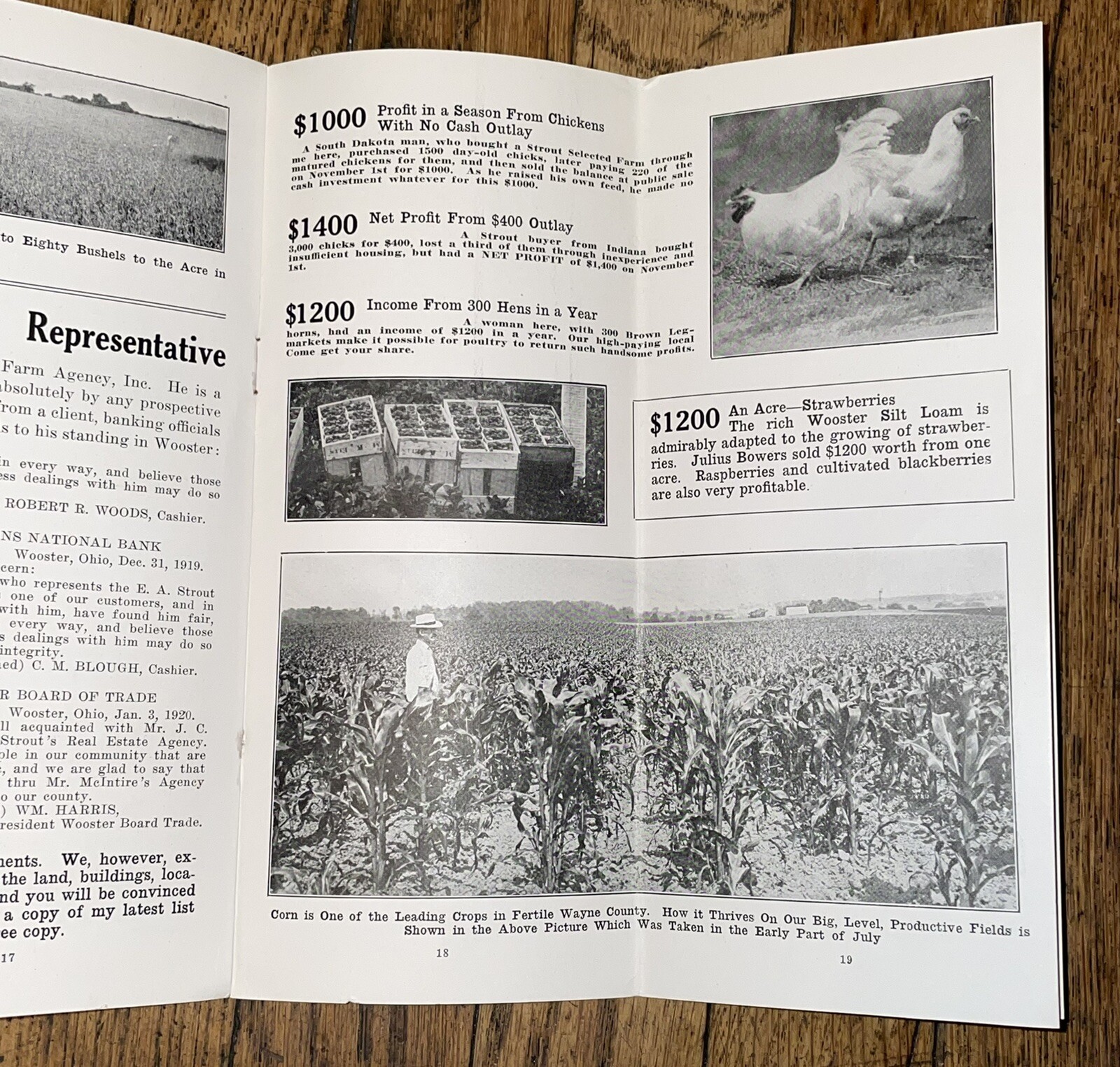 Antique Brochure Wooster Wayne County Ohio JC McIntire For EA Strout Farm Agency