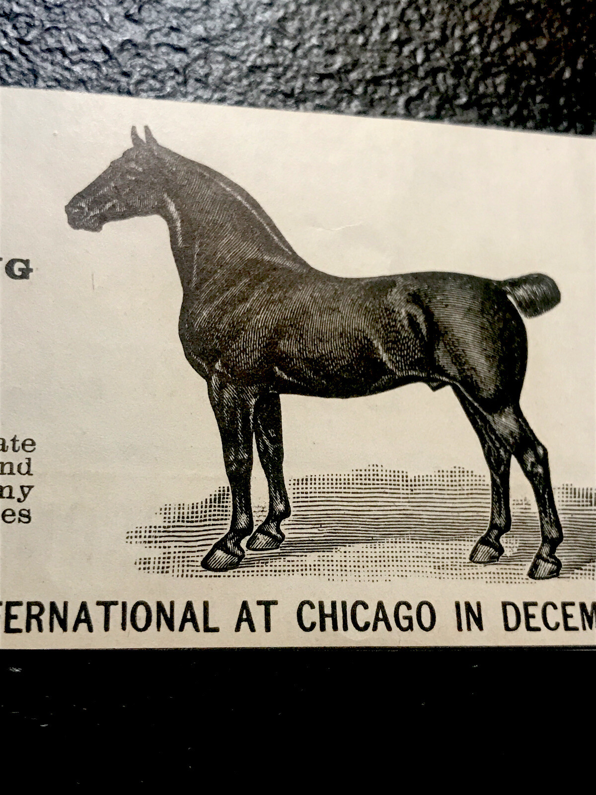1903 Lew W. Cochran Horse Advertising – Crawfordsville – Indiana