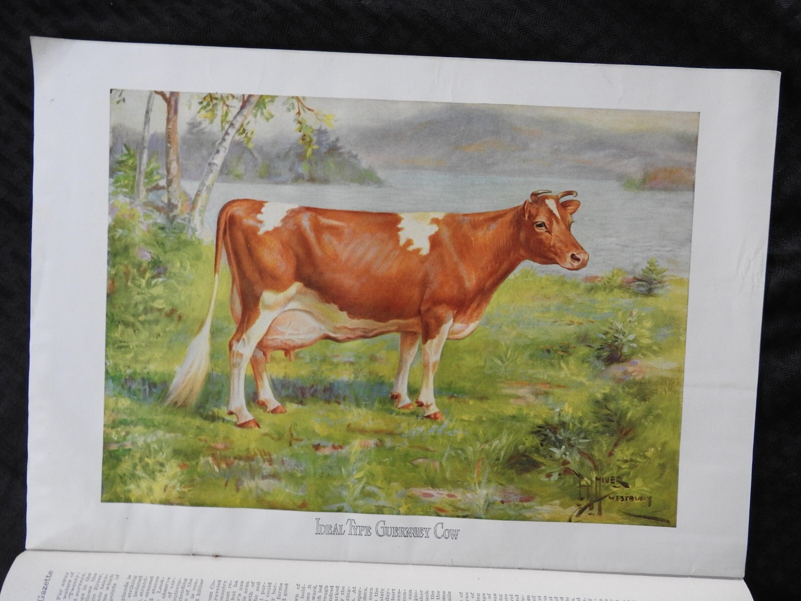1925 Breeder’s Gazette Magazine – cattle rancher farmer horse show VERY GOOD
