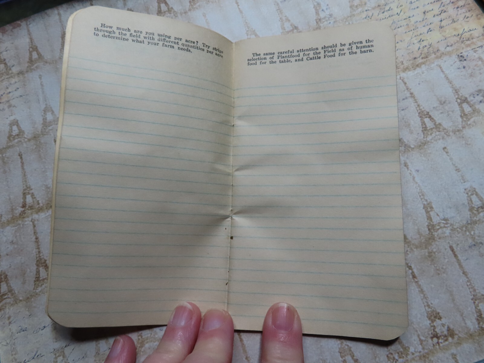 Vintage 1930/31 Advertising Notebook*MILLER’S HIGH GRADE FERTILIZER*Baltimore MD