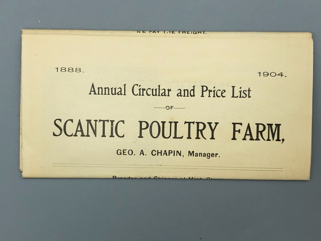 1904 Scantic POULTRY FARM Leghorns CHICKEN RI Red Antique Advertising HAMPDEN MA