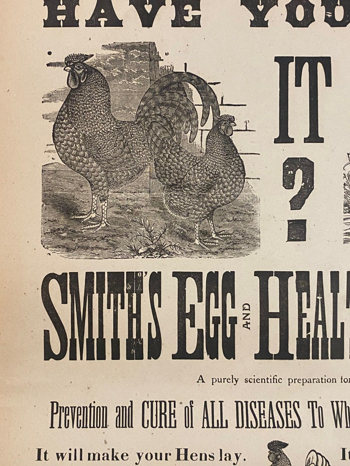 Antique 1900’s Dr.Smith’s Egg & Chicken Broadside Poster Sign, Lee, MASS Kitchen