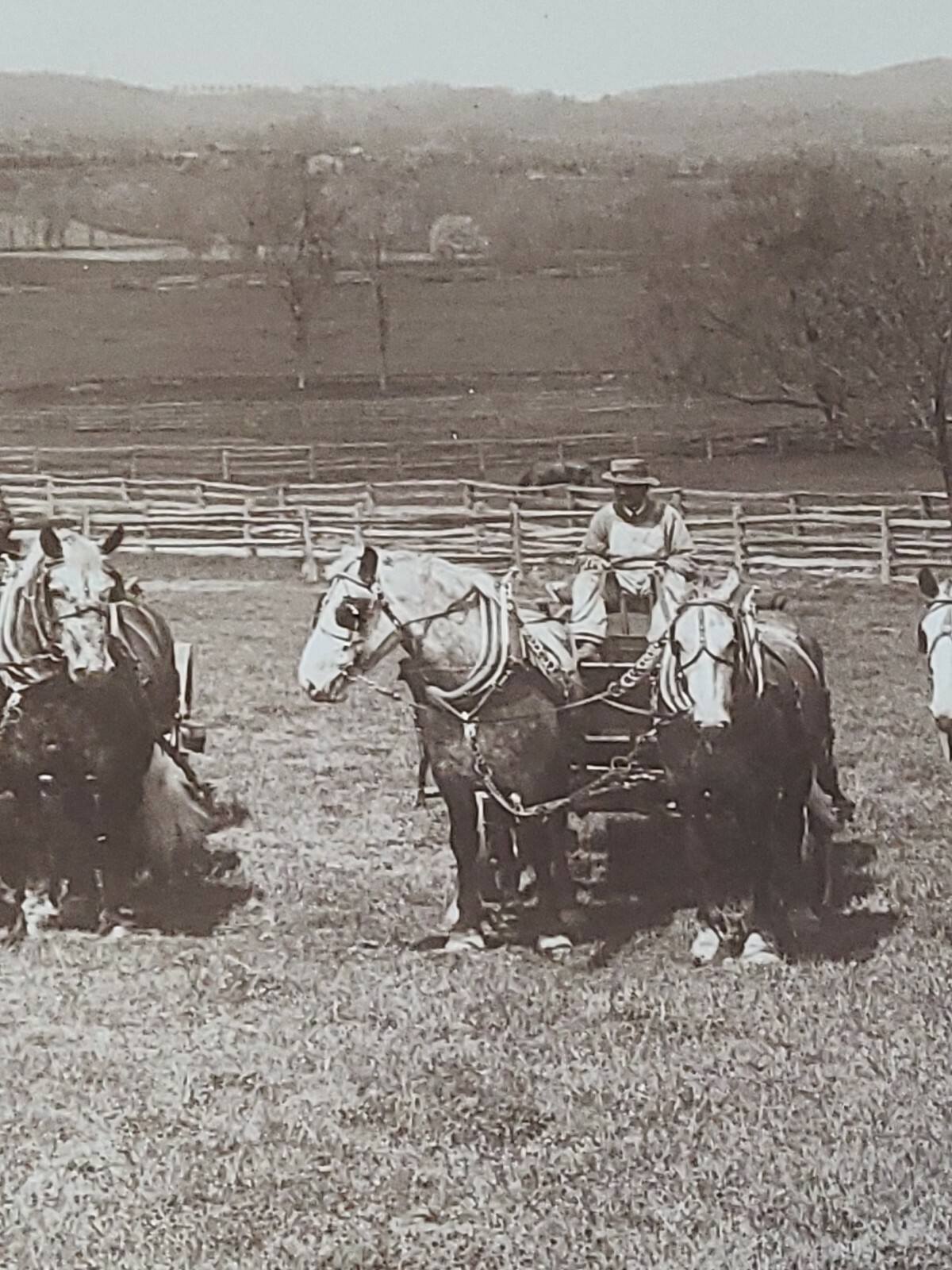 Vintage 1800s 5 Farmers & Horse Wagons Photo Newark NJ