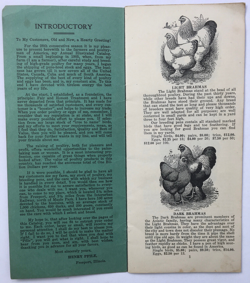 1930’s Henry Pfile Poultry Catalog Freeport IL Chickens Fowl Growers Guide