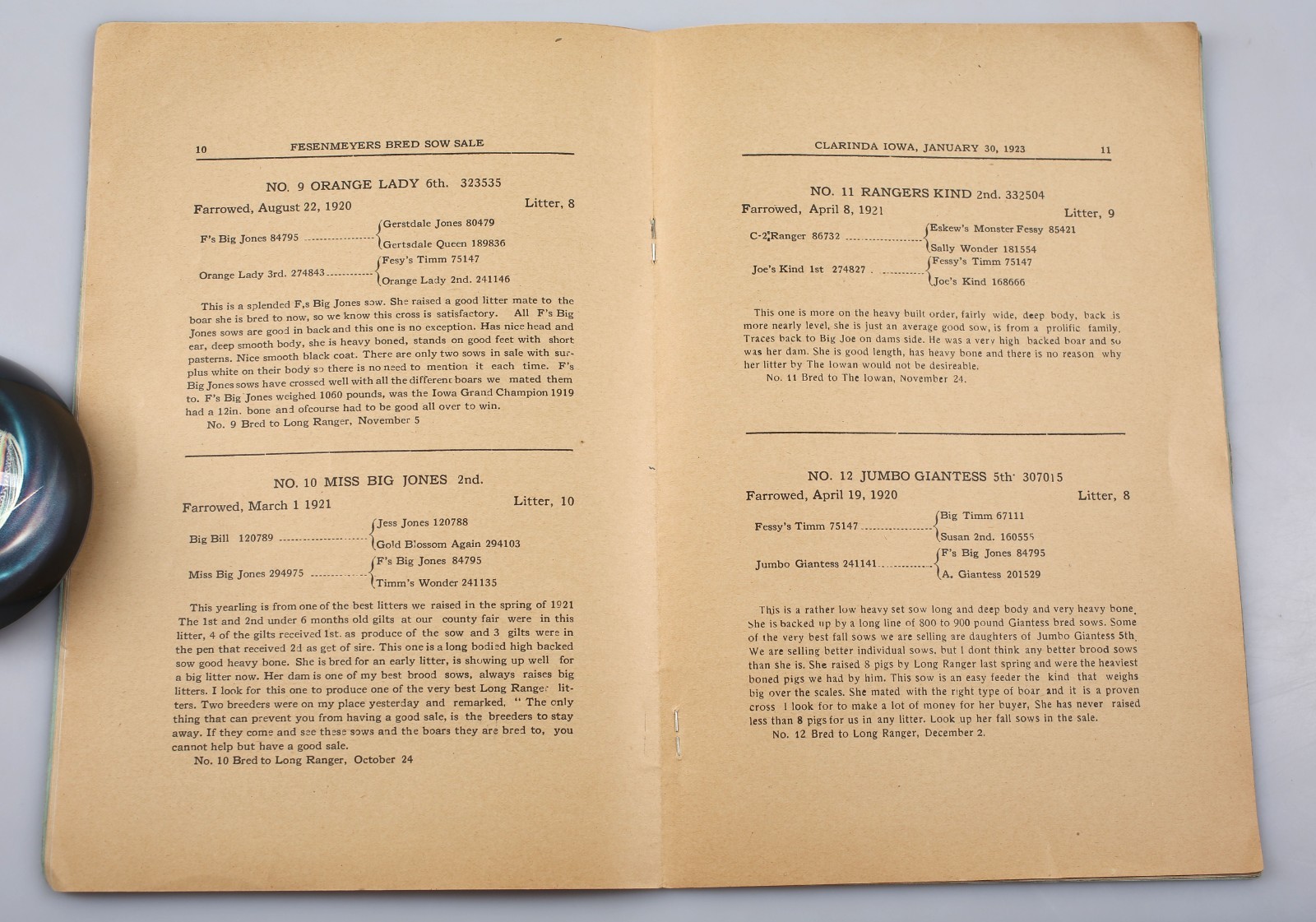 Vintage 1923 Fesenmeyer’s Bred Sow Sale Catalog Clarinda Iowa
