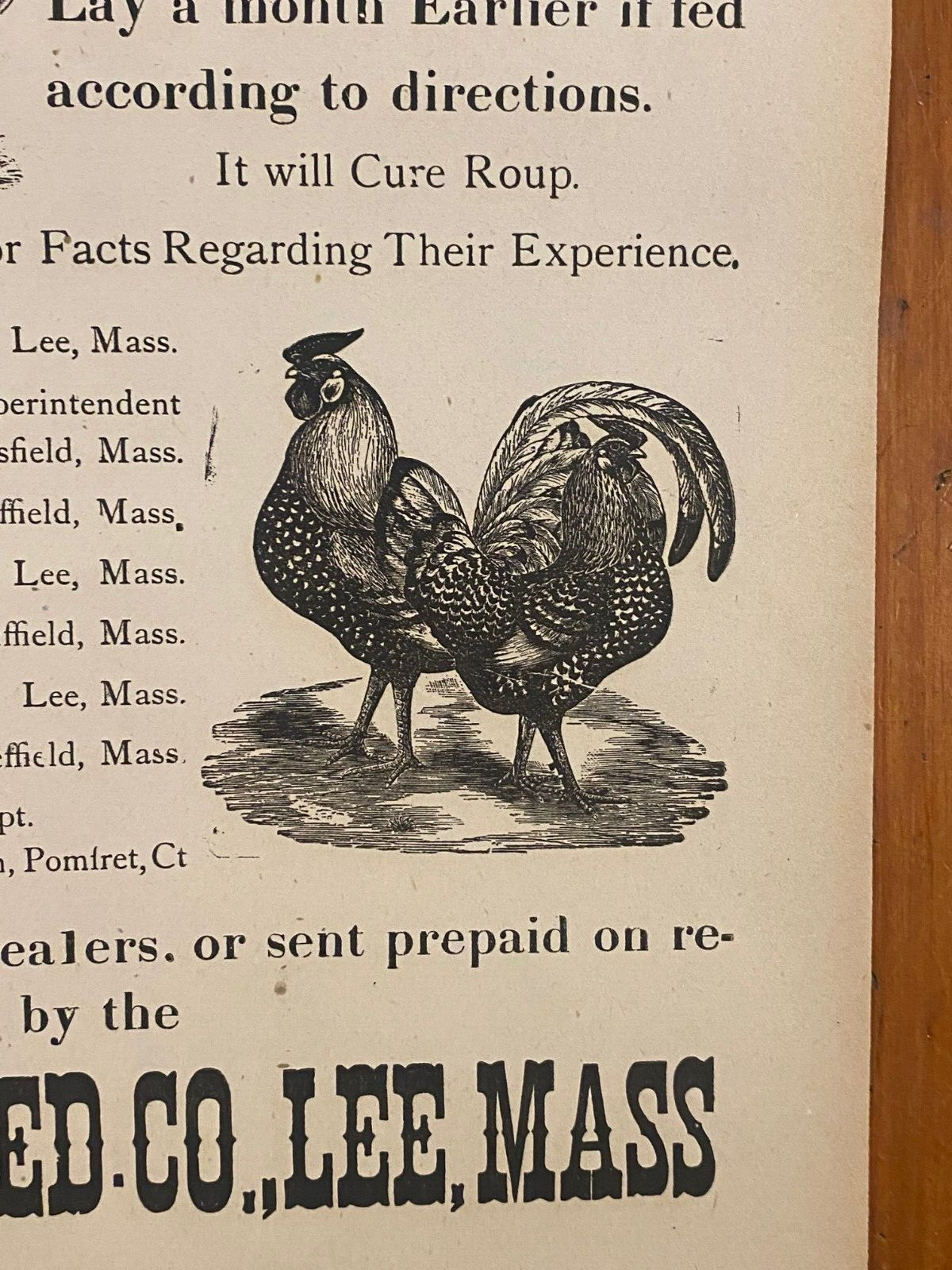 Antique 1900’s Dr.Smith’s Egg & Chicken Broadside Poster Sign, Lee, MASS Kitchen