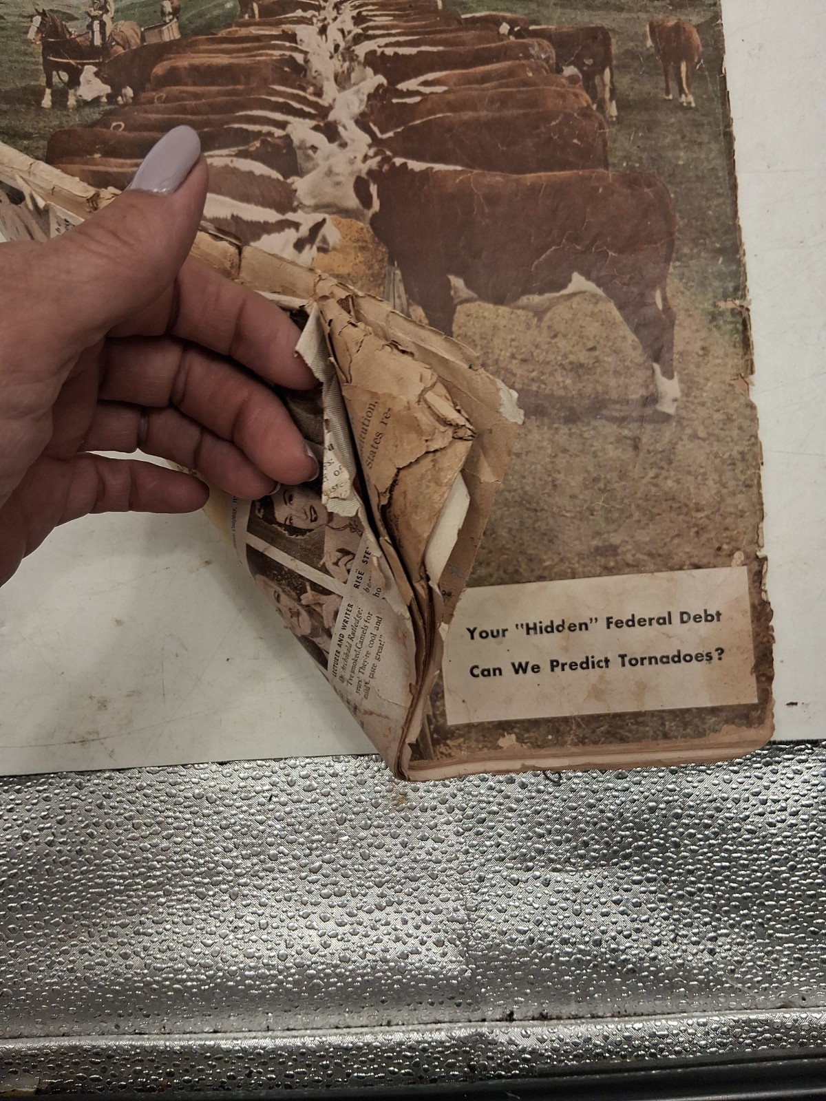 Vtg Capper’s Farmer July 1951 Cattle Agriculture 1945 Country Gentleman Damaged