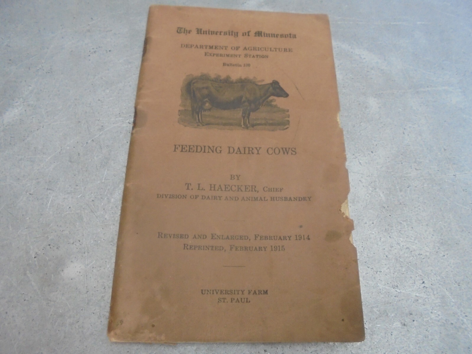 Vintage 1915 University of Minnesota booklet Feeding Dairy Cows