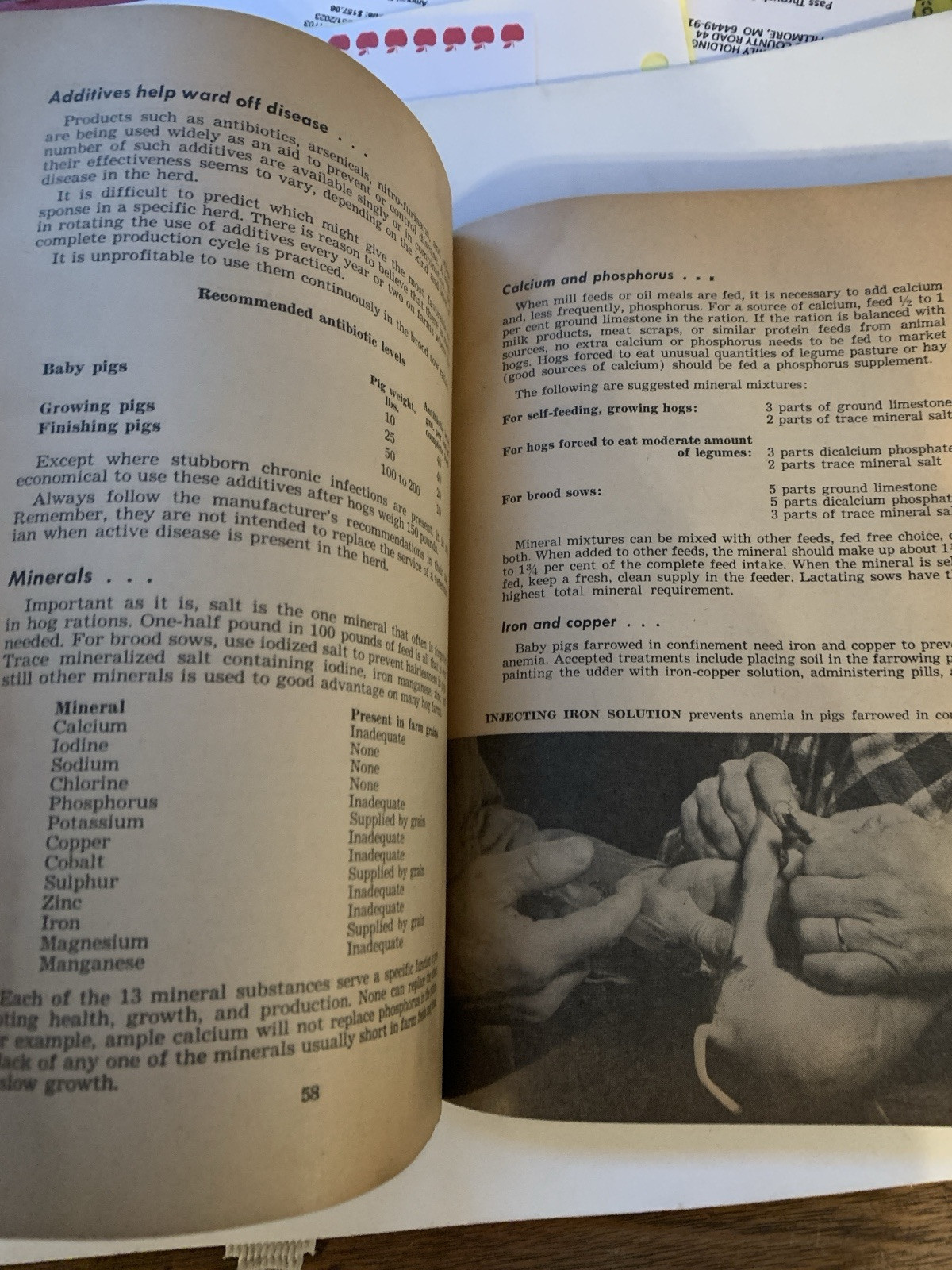 1963 The Hoard’s Dairyman Feed Guide Vintage Cattle Poultry Horse Swine Farm