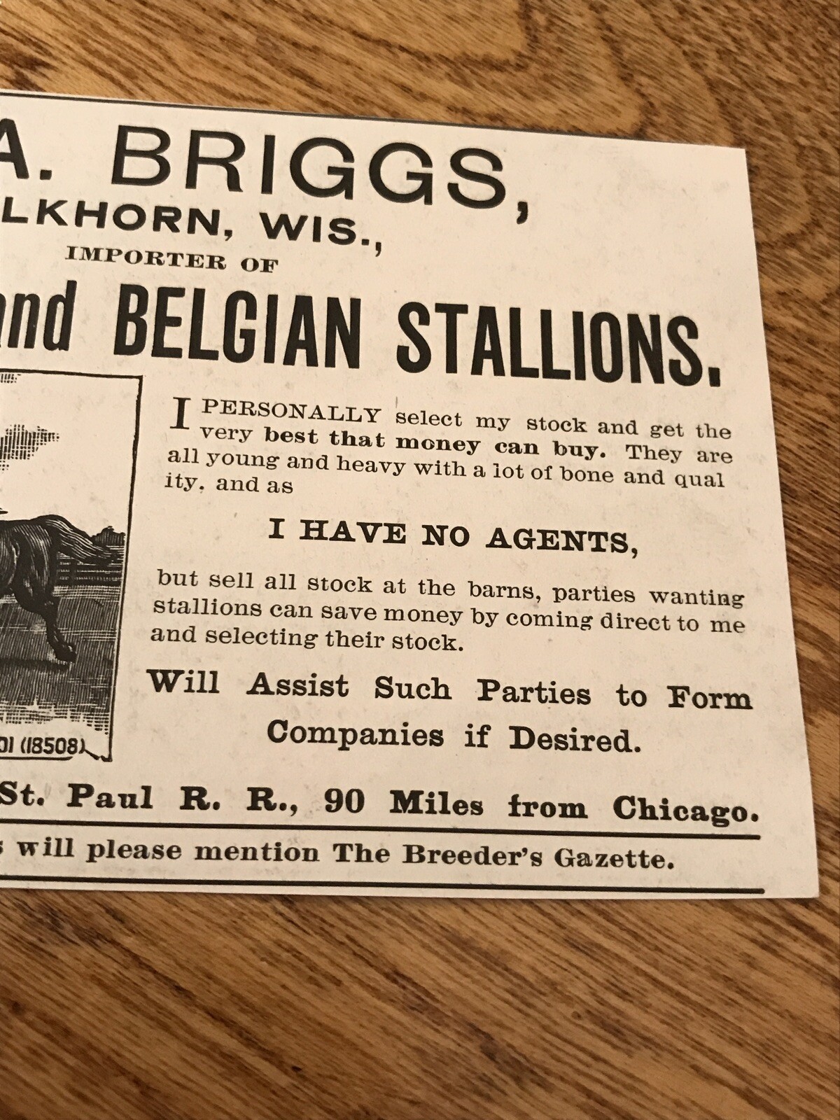 1903 H.A. Briggs Stallions Horse Advertising – Elkhorn – Wisconsin
