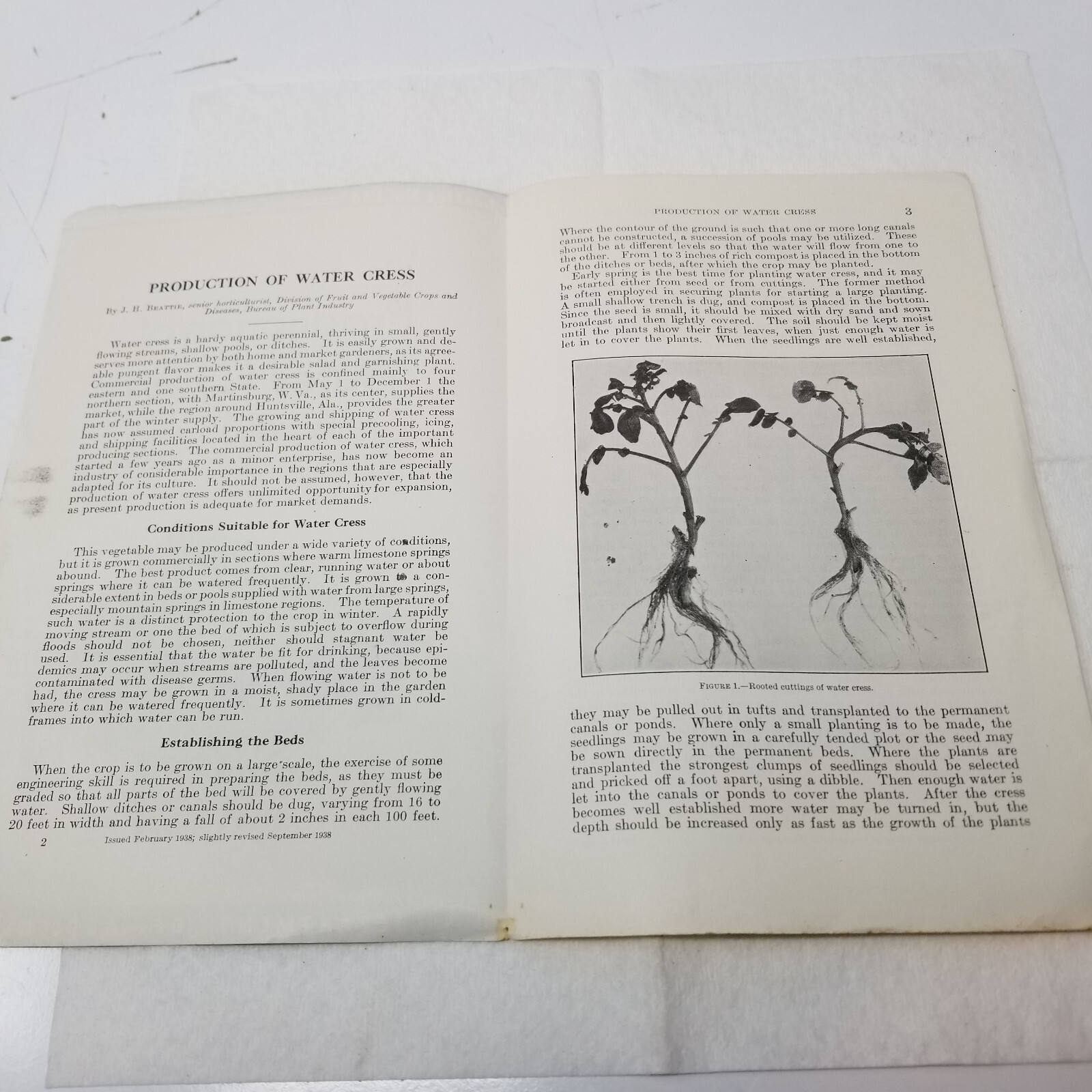 Production of Water Cress 1938 Farmers’ Bulletin Booklet 134 USDA Care Marketing