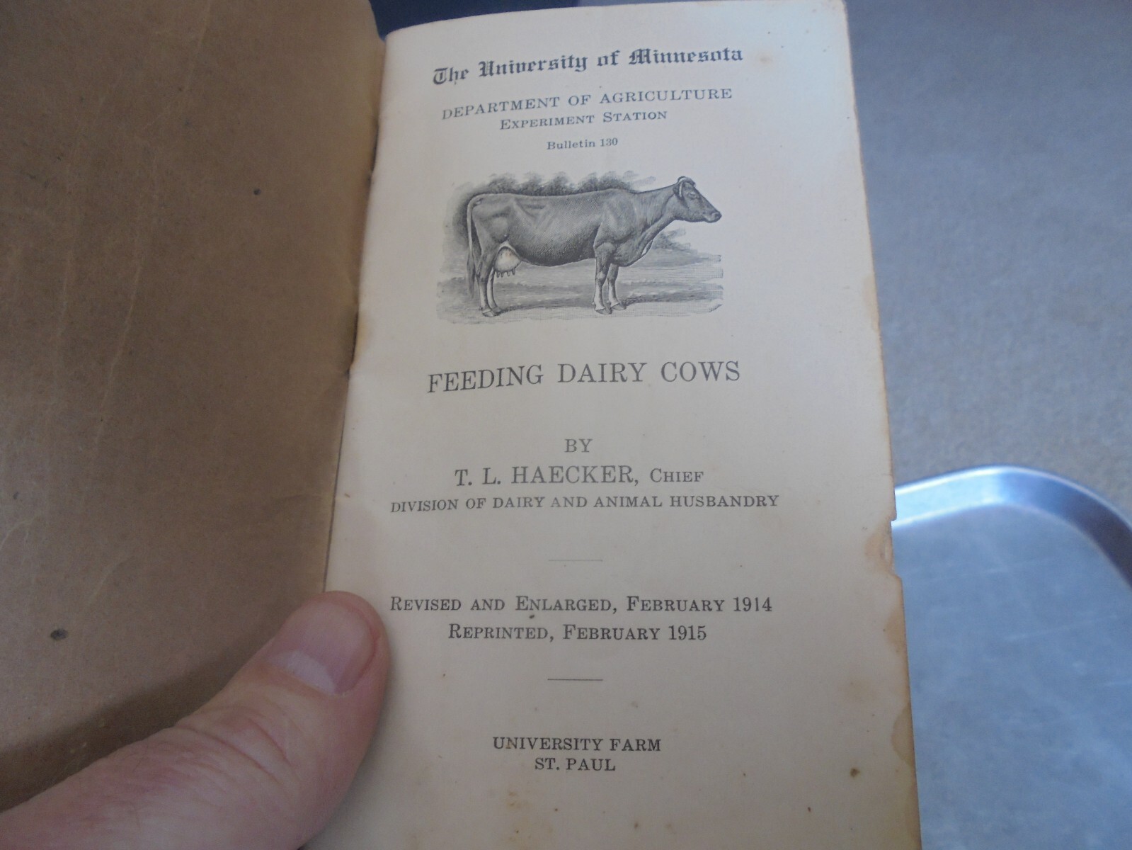 Vintage 1915 University of Minnesota booklet Feeding Dairy Cows