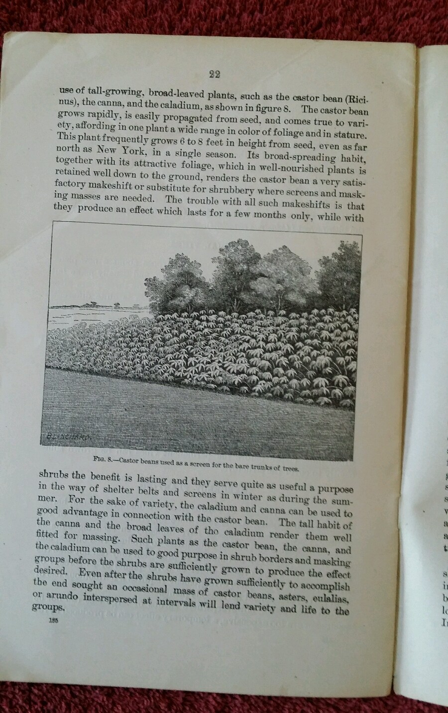 U.S. Department of Ag Vintage 1904 Farmers’ Bulletin #185 Beautify Home Grounds