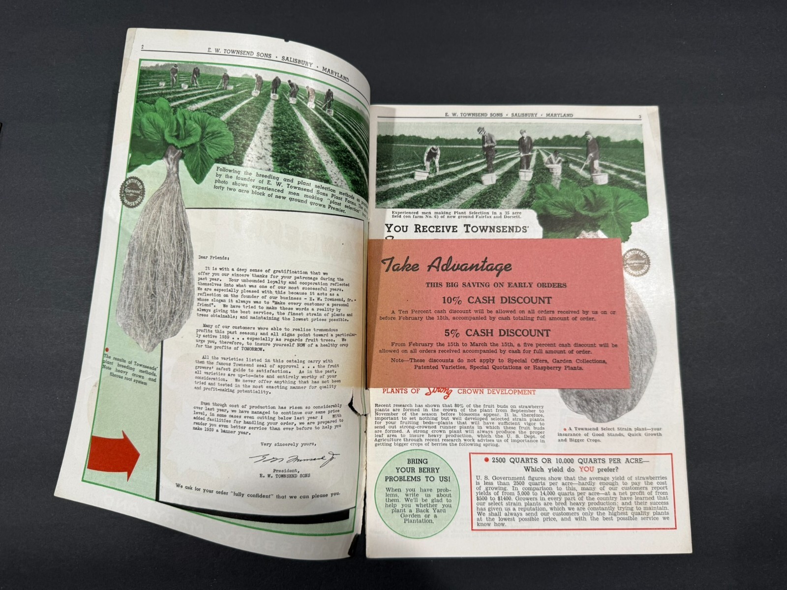 1934-39 Townsend’s & South Michigan Fruit, Flowers, Seed Brochures…..2 Items