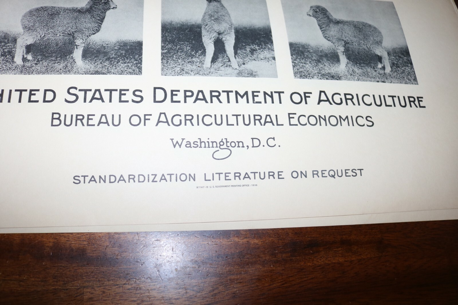 RARE new old stock orig. 1936 Large USDA Lamb slaughter grade poster chart sign