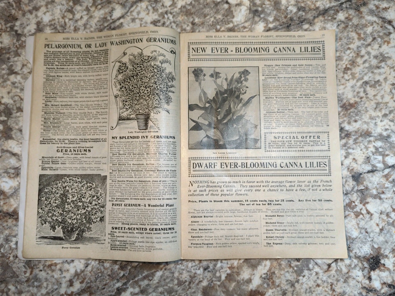1910 The Woman Florist, Miss Ella V Baines Spring Illustrated Catalogue