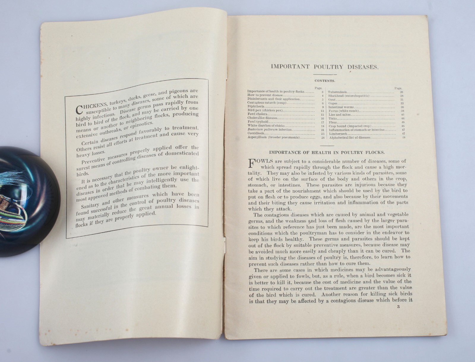 Vintage 1918 USDA Farmer’s Bulletin Important Poultry Diseases Booklet Chickens