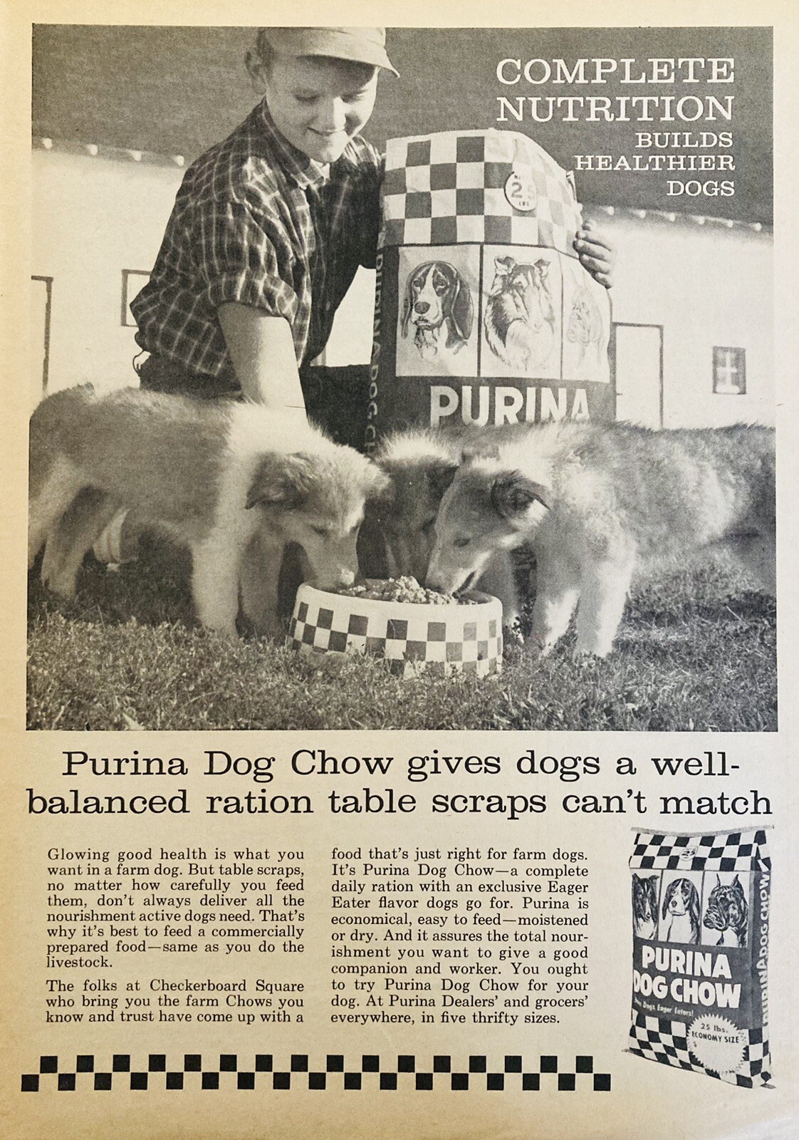 1961 AD.(XH75)~CHECKERBOARD SQUARE PURINA DOG CHOW