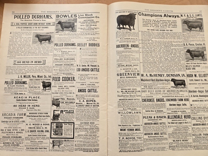 Nov 13, 1901 Breeder’s Gazette Weekly Union Stock Yards Intl Exposition Chicago
