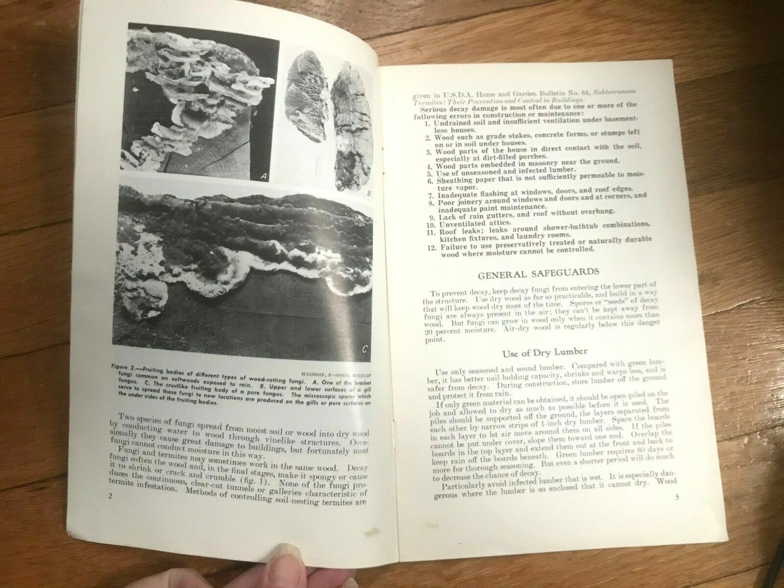 Vtg Wood Decay in Houses US Dept of Agriculture 1960s Booklet #73 – A52