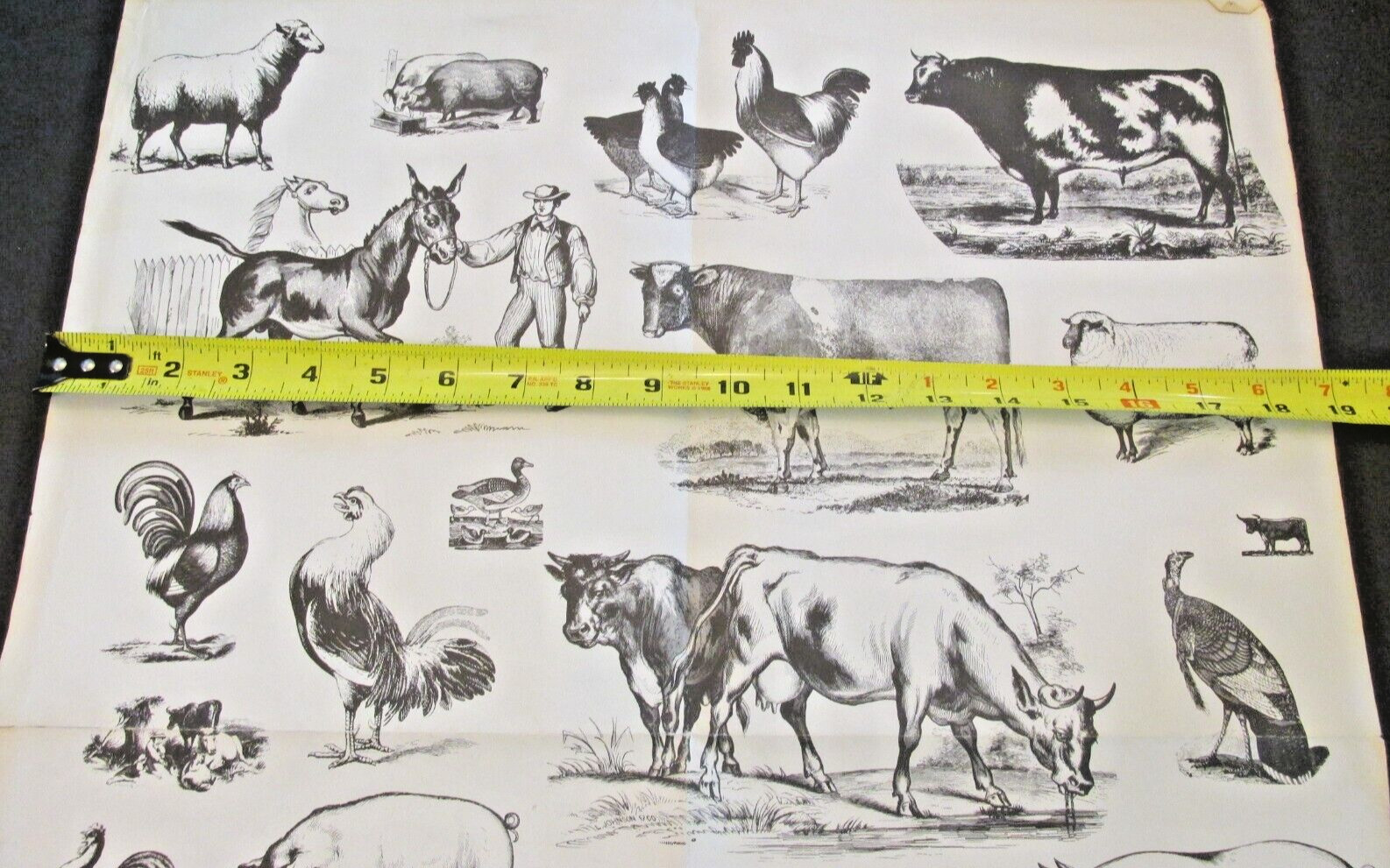VTG The Three B’s Farm Animals Poster Rooster Donkey Horse Pigs Homestead 19×25
