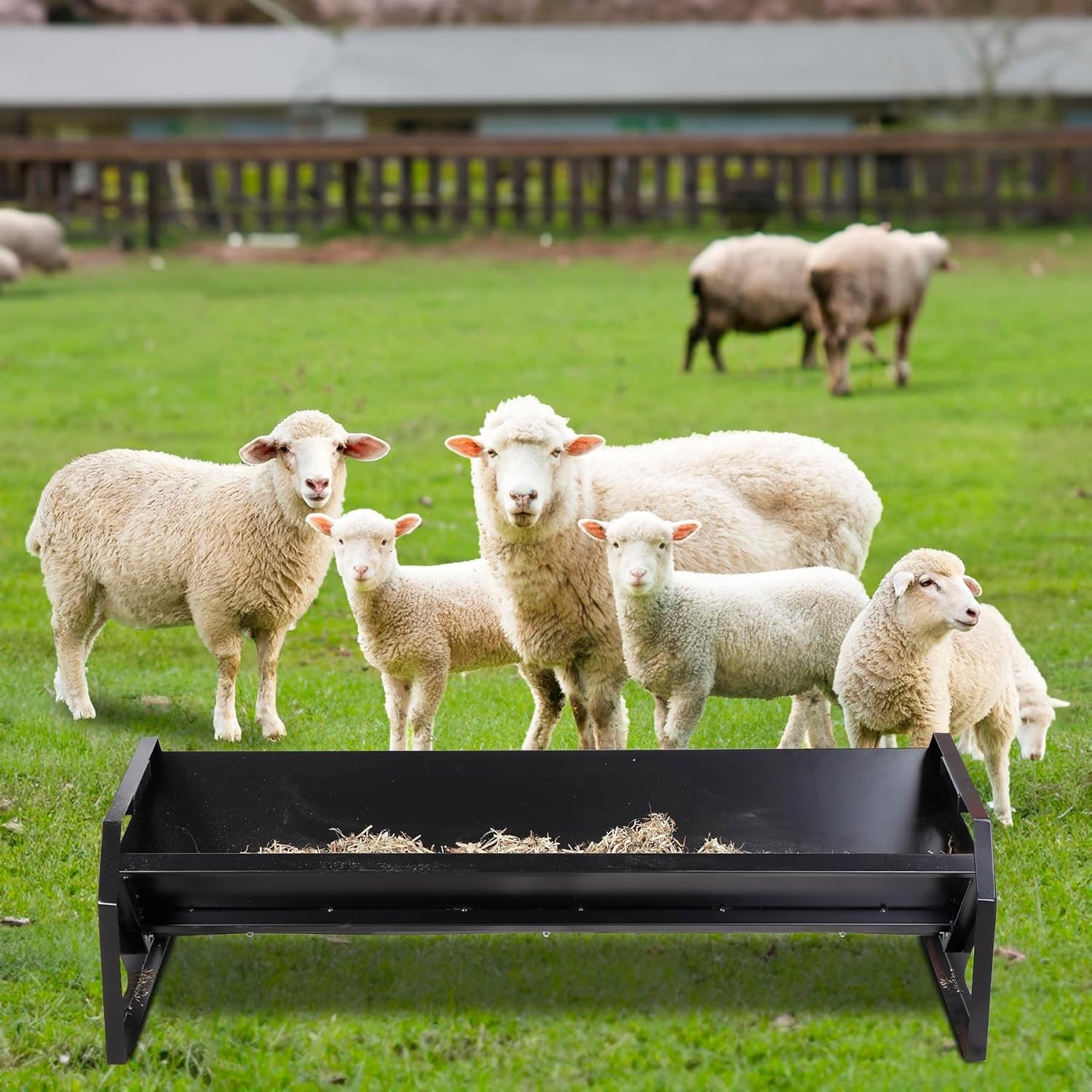 Pasture Feeder 44.2″ Long, Heavy-Duty Large Capacity Livestock Feeder with Deepe
