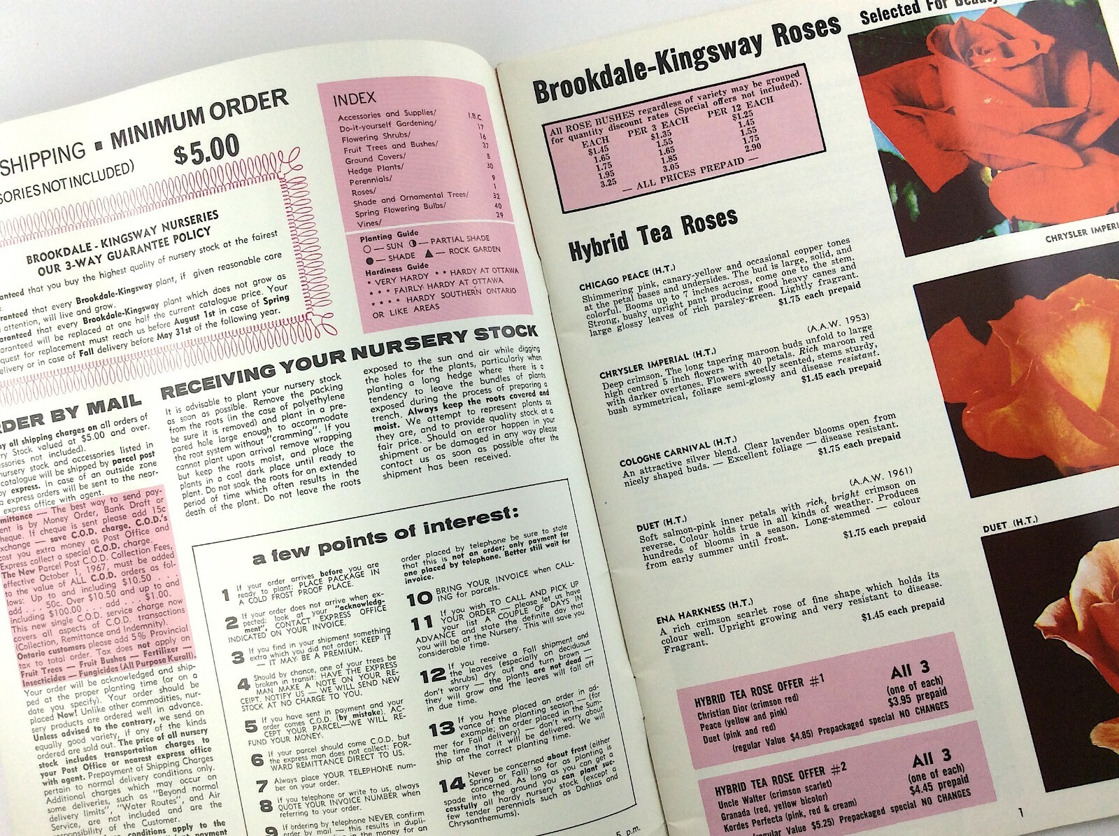 Vintage 1968 Seed Catalog Brookdale Kingsway Limited Bowmanville Ontario Q293