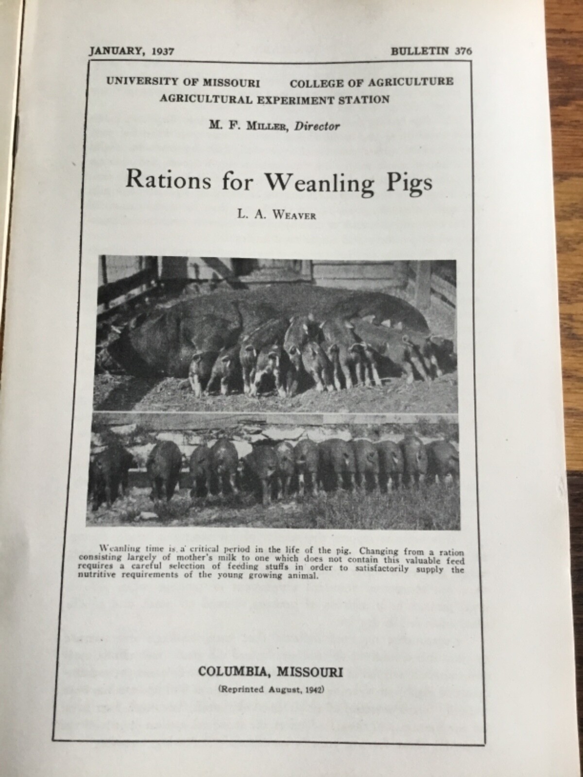 WWII Era Brochure x4 Univ. of MO Hog farming, weaning, efficiency + 1930’s-40’s