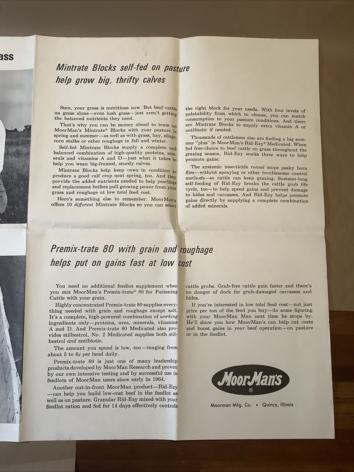 Vintage Moor Man’s Poster Quincy Illinois Piglets INV-AA01L