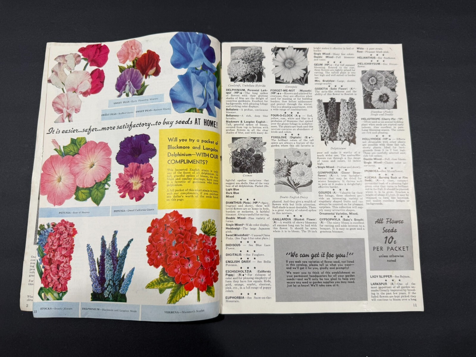 1930’s Glen Brothers & HB Burdick’s Fruit, Flowers, Seed Brochures…..2 Items