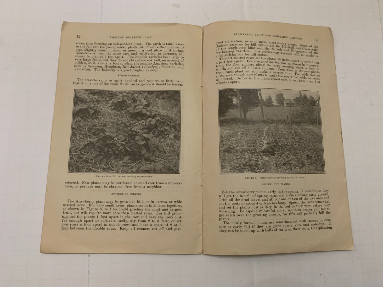 1930 US Department Of Agriculture Bulletin Permanent Fruit and Vegetable Gardens