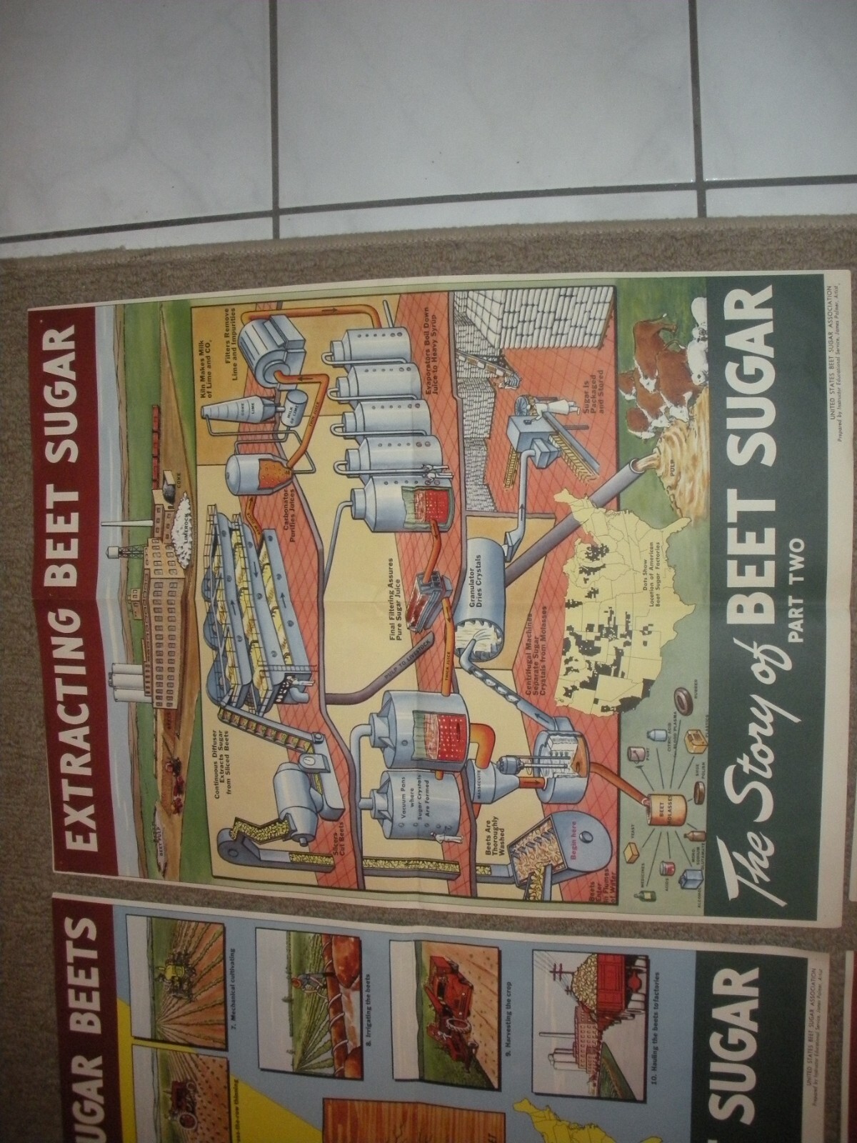 Rare Vintage 1950’s? Extracting STORY Beet Sugar food Factory COMPLETE SET OF 4
