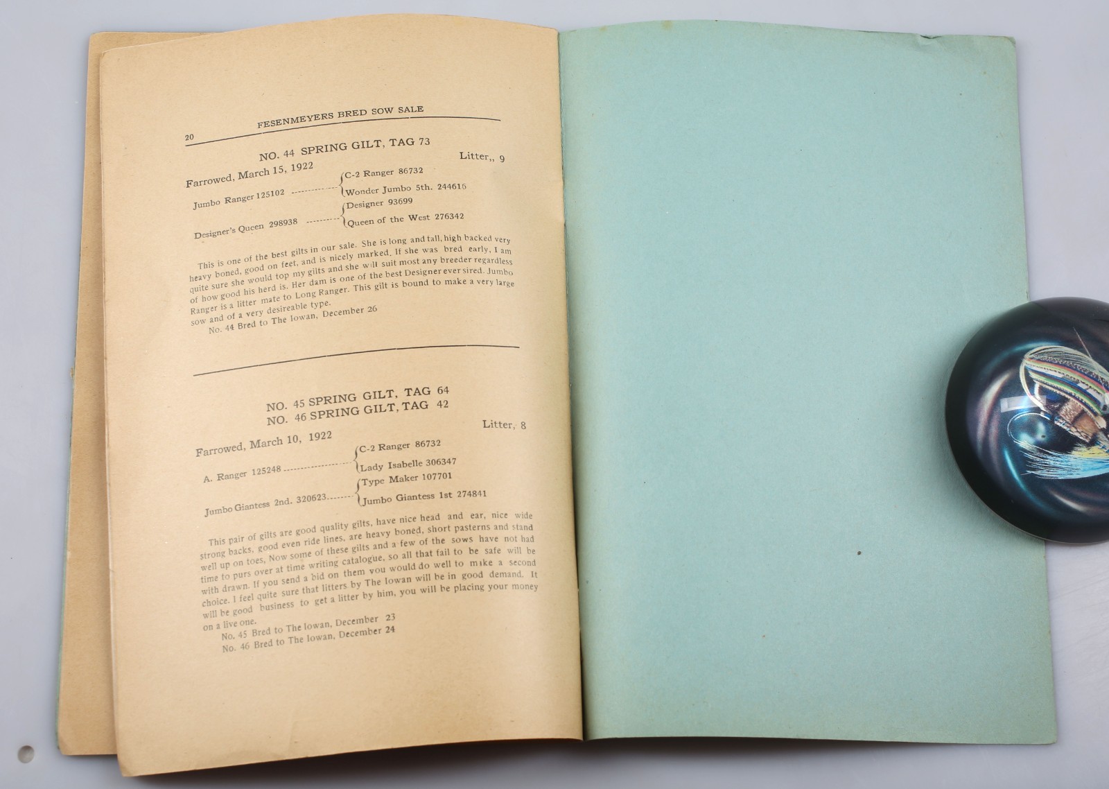 Vintage 1923 Fesenmeyer’s Bred Sow Sale Catalog Clarinda Iowa