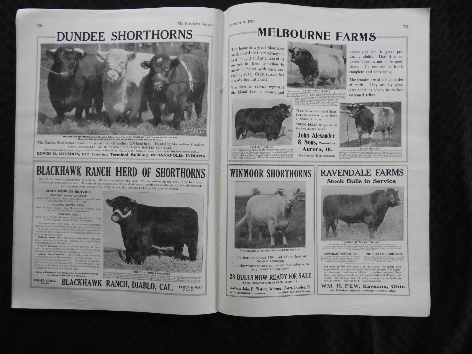 1925 Breeder’s Gazette Magazine – cattle rancher farmer horse show VERY GOOD
