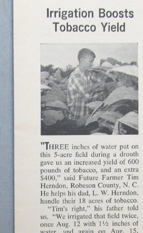 Original 1964 FFA Article Featuring Tim Herndon, Robeson County North Carolina