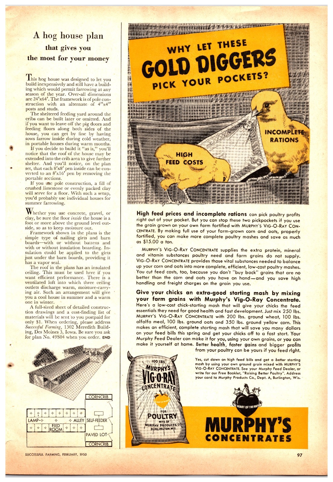 Original 1950 – Murphy’s Concentrates Chicken Feed – Print Ad (5.5in x 12in)